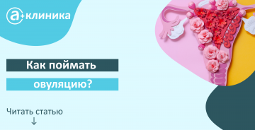Как "поймать" овуляцию?