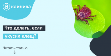 Чем так опасен клещ?