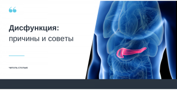 Дисфункция поджелудочной железы: причины и советы