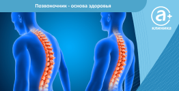 Позвоночник - основа здоровья